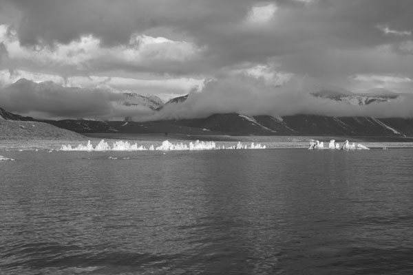 IMG_0528