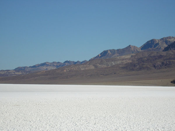 P4290091