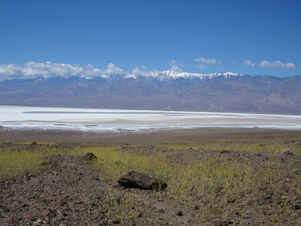 P4290095