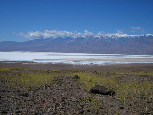 P4290096