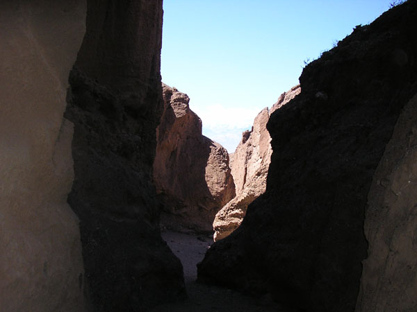 P4290098