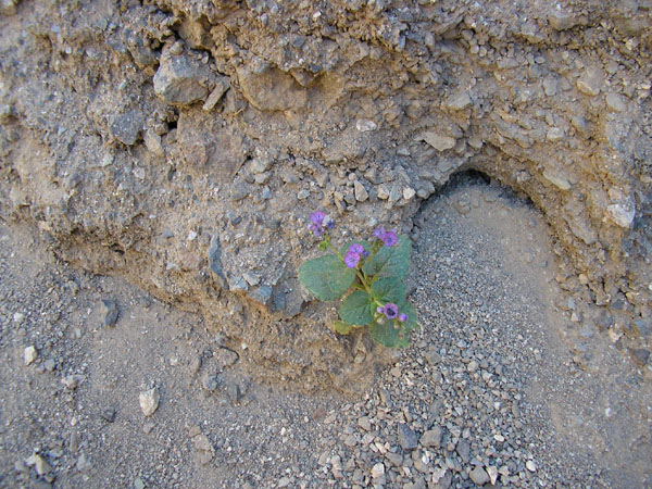 P4290099