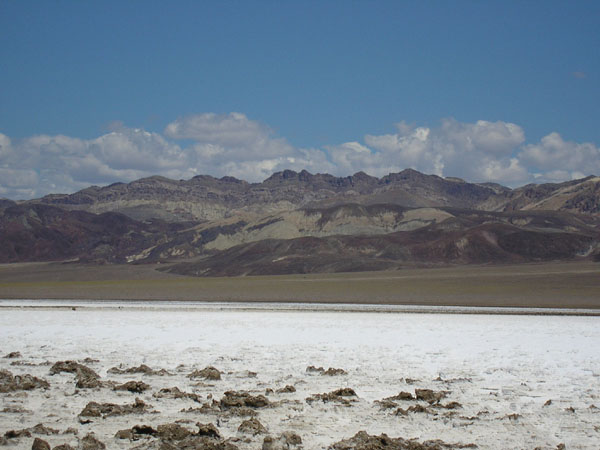 P4290104