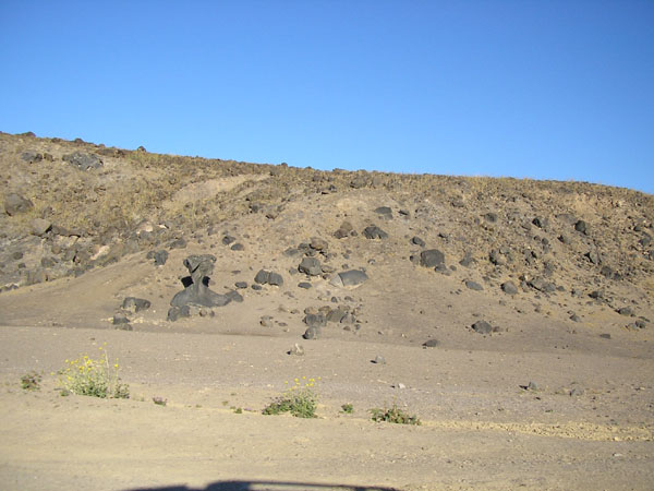 P4290113