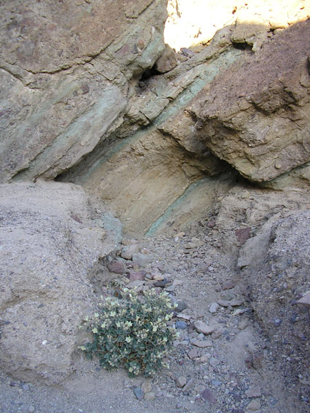 P4290115