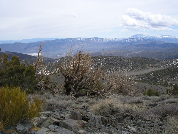 P4300128