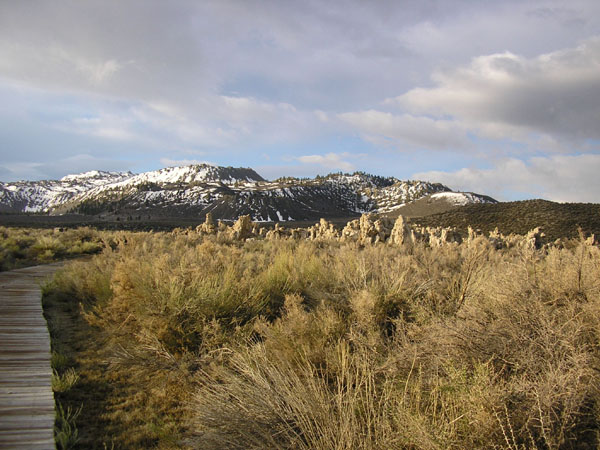 P5010135