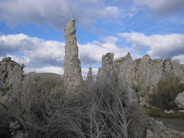 P5010137