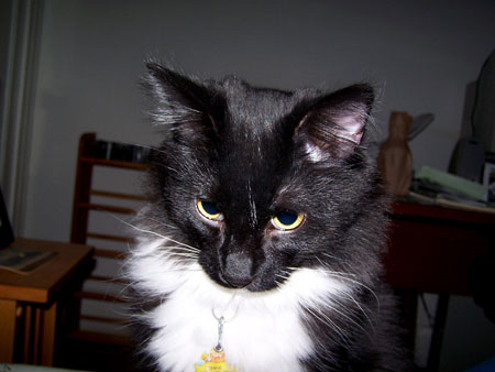 Eddie_Close-up_Looking_Down