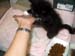 kitty2
