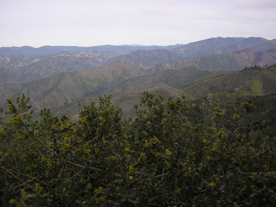 P3260081