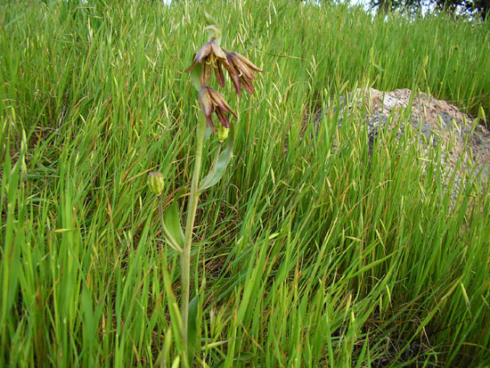 P3260105