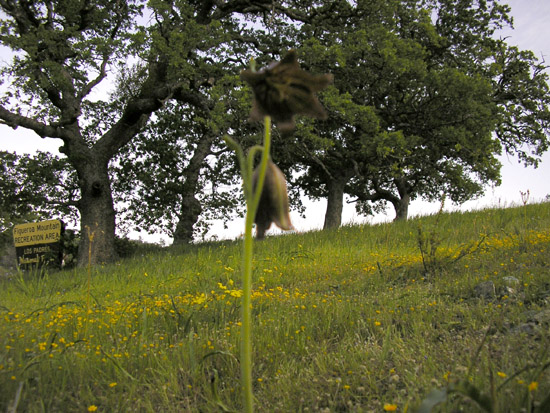 P3260108