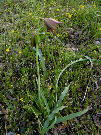 P3260110