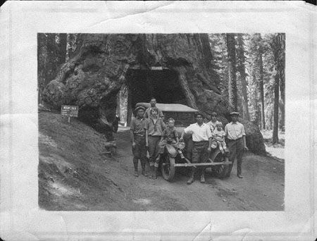 vacation_Wawona&Mariposa Grove