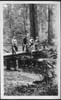 vacation_Muir_Woods_1924
