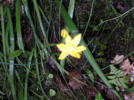 P4090073