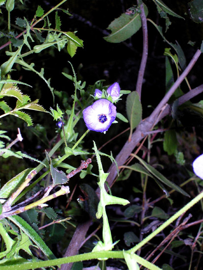 P4090078