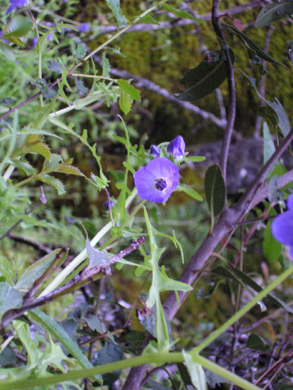 P4090079