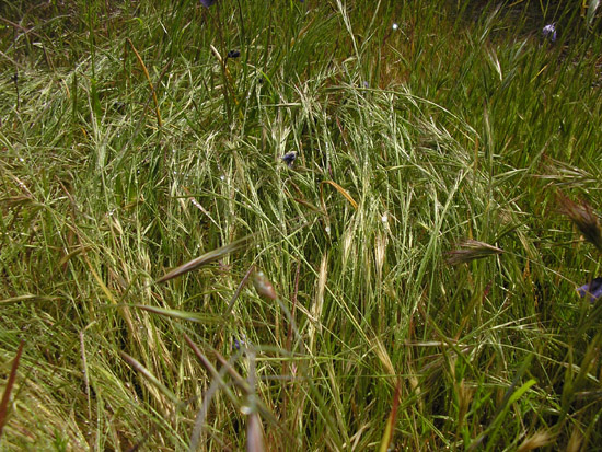 P4090085