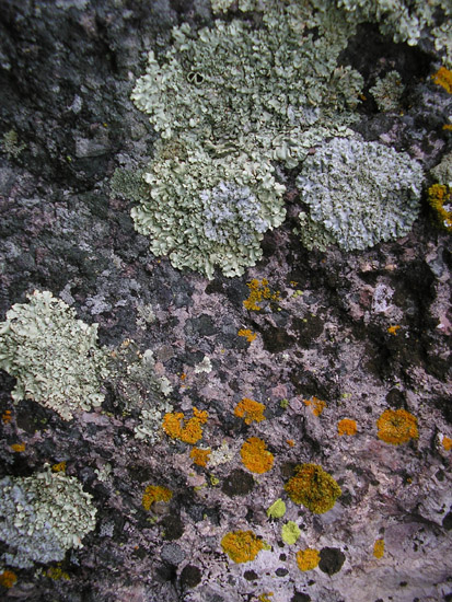 P4090088