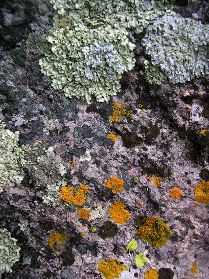 P4090089