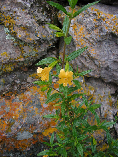 P4090093