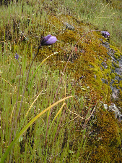 P4090096