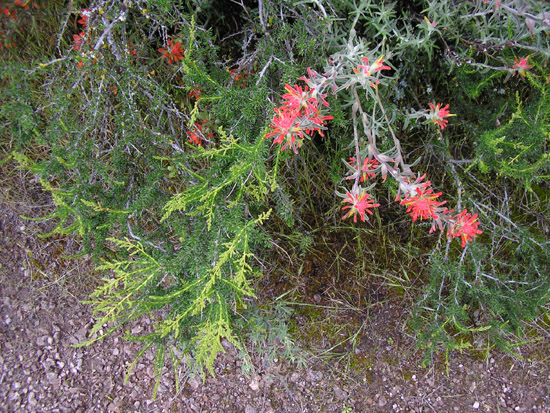 P4090101