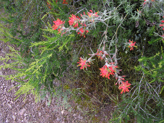 P4090102
