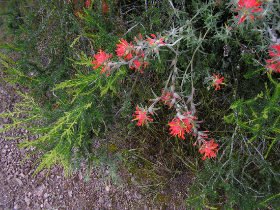 P4090103