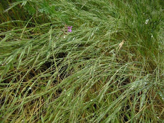 P4090105