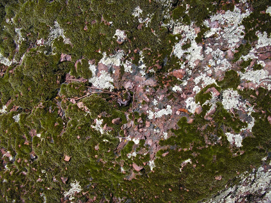 P4090107