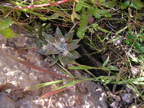 P4090109