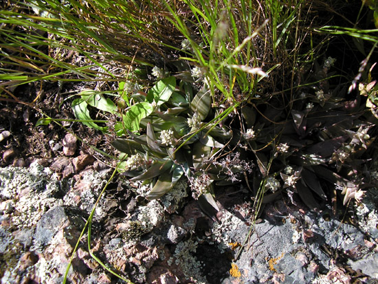 P4090110