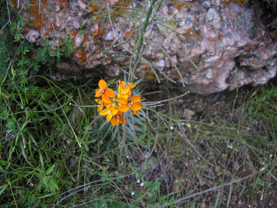 P4090116