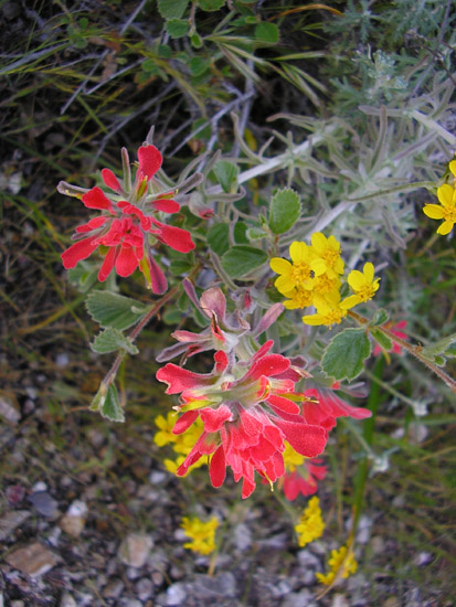 P4090122