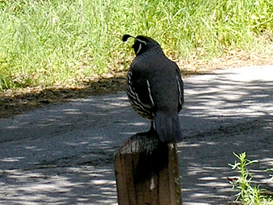 P4100010